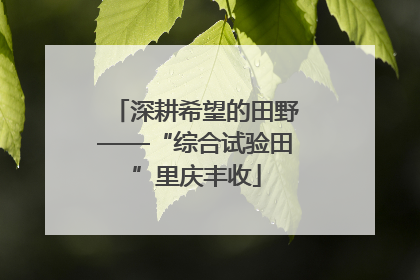 深耕希望的田野——“综合试验田”里庆丰收