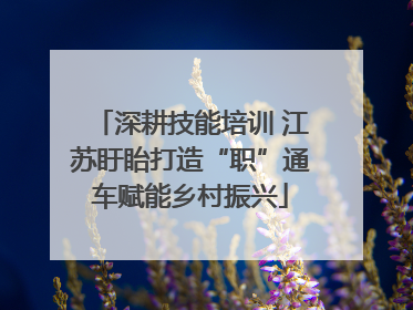 深耕技能培训 江苏盱眙打造“职”通车赋能乡村振兴
