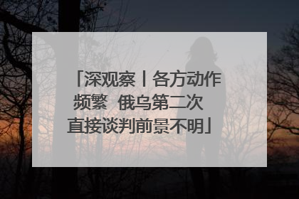 深观察丨各方动作频繁  俄乌第二次直接谈判前景不明