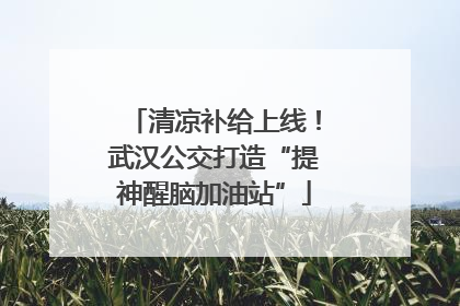 清凉补给上线！武汉公交打造“提神醒脑加油站”