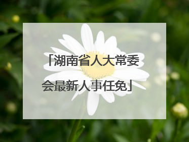 湖南省人大常委会最新人事任免
