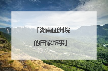 湖南团洲垸的田家新事