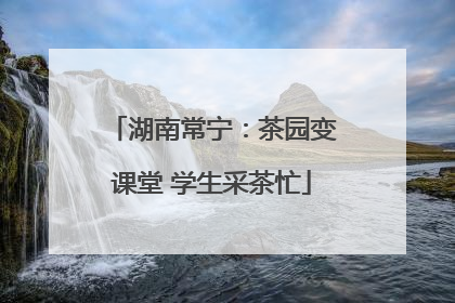 湖南常宁：茶园变课堂 学生采茶忙