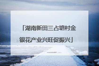 湖南新田三占塘村金银花产业兴旺促振兴