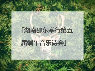 湖南邵东举行第五届端午音乐诗会
