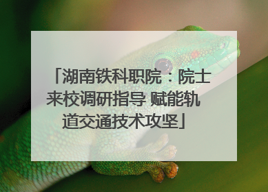 湖南铁科职院：院士来校调研指导 赋能轨道交通技术攻坚