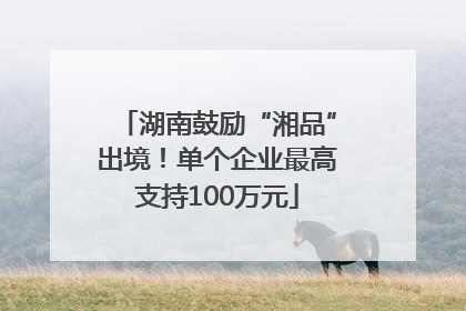 湖南鼓励“湘品”出境！单个企业最高支持100万元