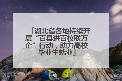 湖北省各地持续开展“百县进百校联万企”行动，助力高校毕业生就业