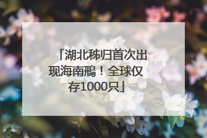 湖北秭归首次出现海南鳽！全球仅存1000只