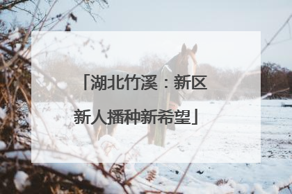 湖北竹溪：新区新人播种新希望