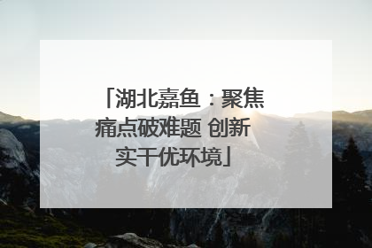 湖北嘉鱼：聚焦痛点破难题 创新实干优环境