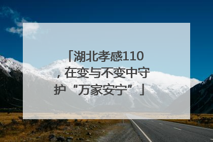 湖北孝感110，在变与不变中守护“万家安宁”