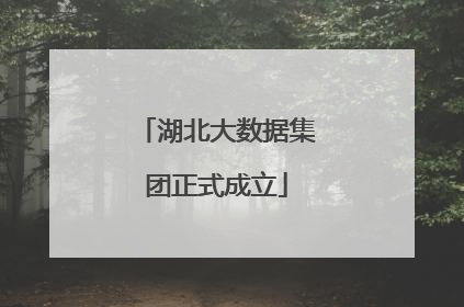 湖北大数据集团正式成立