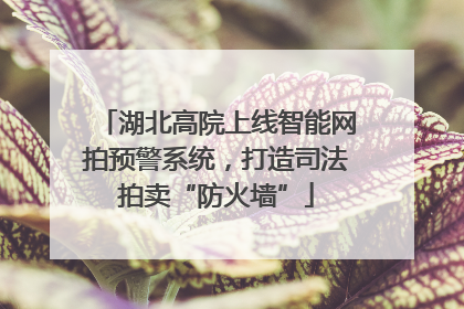 湖北高院上线智能网拍预警系统，打造司法拍卖“防火墙”