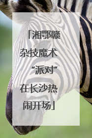 湘鄂赣杂技魔术“派对”在长沙热闹开场