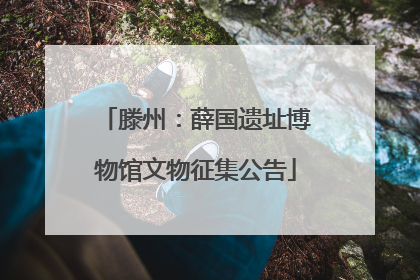 滕州：薛国遗址博物馆文物征集公告
