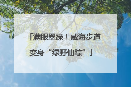 满眼翠绿！威海步道变身“绿野仙踪”