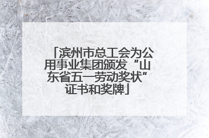 滨州市总工会为公用事业集团颁发“山东省五一劳动奖状”证书和奖牌