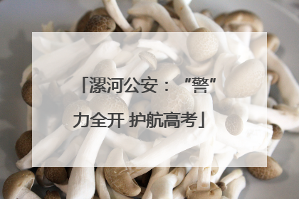 漯河公安：“警”力全开 护航高考