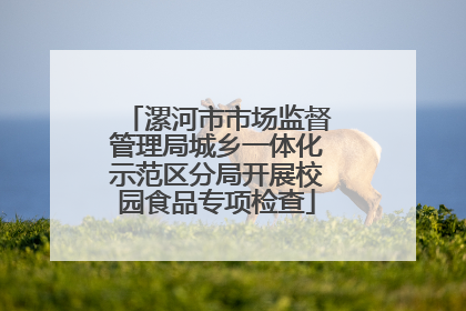 漯河市市场监督管理局城乡一体化示范区分局开展校园食品专项检查