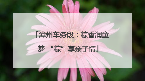 漳州车务段：粽香润童梦 “粽”享亲子情