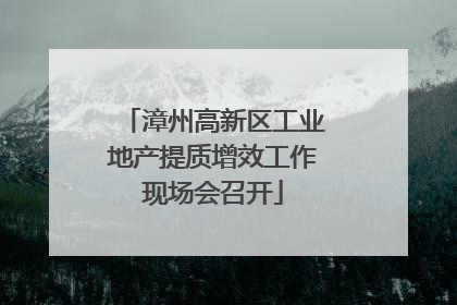 漳州高新区工业地产提质增效工作现场会召开