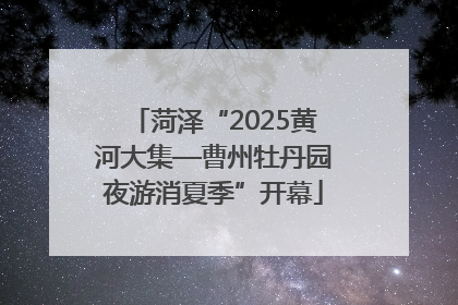 菏泽“2025黄河大集—曹州牡丹园夜游消夏季”开幕