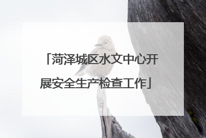 菏泽城区水文中心开展安全生产检查工作