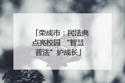 荣成市：民法典点亮校园 “智慧普法”护成长