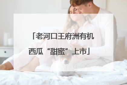 老河口王府洲有机西瓜“甜蜜”上市