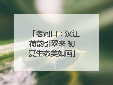 老河口：汉江荷韵引翠来 初夏生态美如画