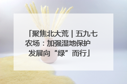 聚焦北大荒｜五九七农场：加强湿地保护 发展向“绿”而行