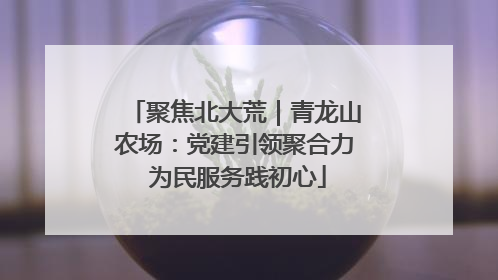 聚焦北大荒｜青龙山农场：党建引领聚合力 为民服务践初心