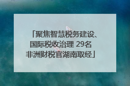 聚焦智慧税务建设、国际税收治理 29名非洲财税官湖南取经
