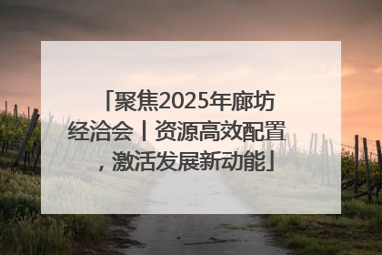 聚焦2025年廊坊经洽会丨资源高效配置，激活发展新动能