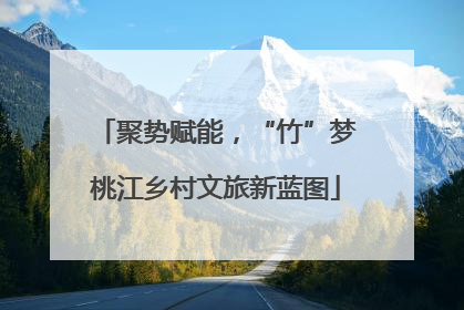 聚势赋能，“竹”梦桃江乡村文旅新蓝图