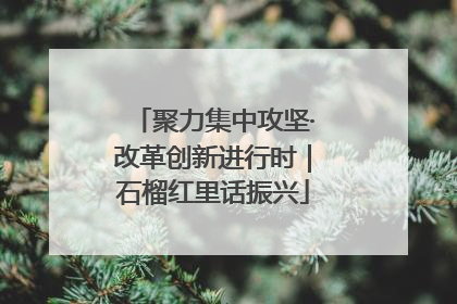 聚力集中攻坚·改革创新进行时｜石榴红里话振兴
