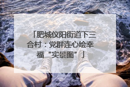 肥城仪阳街道下三合村：党群连心绘幸福“实景图”
