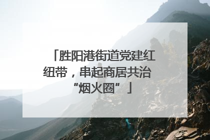 胜阳港街道党建红纽带，串起商居共治 “烟火圈”