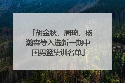 胡金秋、周琦、杨瀚森等入选新一期中国男篮集训名单