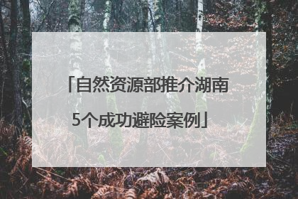 自然资源部推介湖南5个成功避险案例