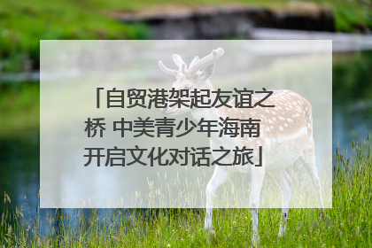 自贸港架起友谊之桥 中美青少年海南开启文化对话之旅