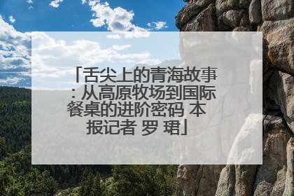 舌尖上的青海故事：从高原牧场到国际餐桌的进阶密码 本报记者 罗 珺