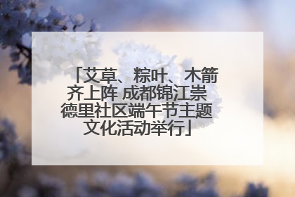 艾草、粽叶、木箭齐上阵 成都锦江崇德里社区端午节主题文化活动举行