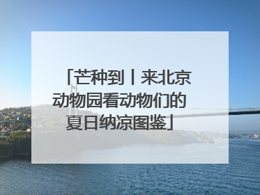 芒种到丨来北京动物园看动物们的夏日纳凉图鉴