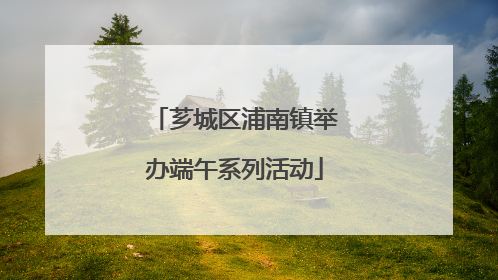 芗城区浦南镇举办端午系列活动