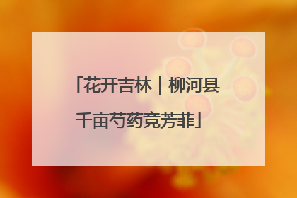 花开吉林｜柳河县千亩芍药竞芳菲