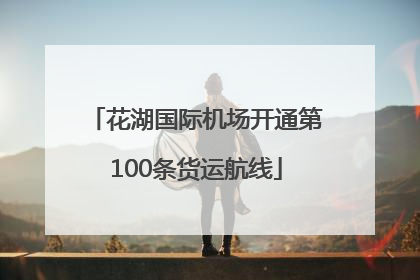 花湖国际机场开通第100条货运航线