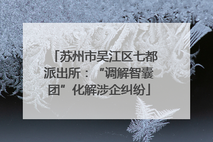 苏州市吴江区七都派出所：“调解智囊团”化解涉企纠纷