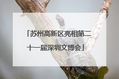 苏州高新区亮相第二十一届深圳文博会